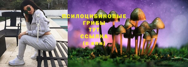 мяу мяу кристалл Богданович