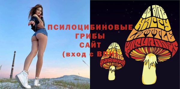 марки nbome Богородицк