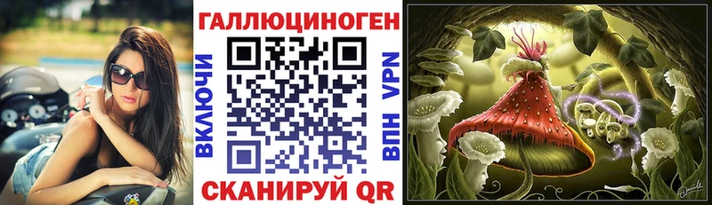 продажа наркотиков  mega сайт  Галлюциногенные грибы MAGIC MUSHROOMS  Игра 